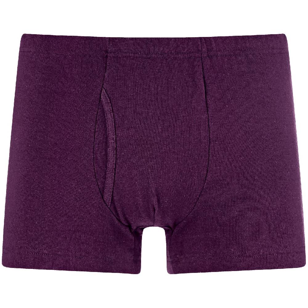 Jan Vanderstorm 5er Pack Retropants GARDAR bunt im Angebot