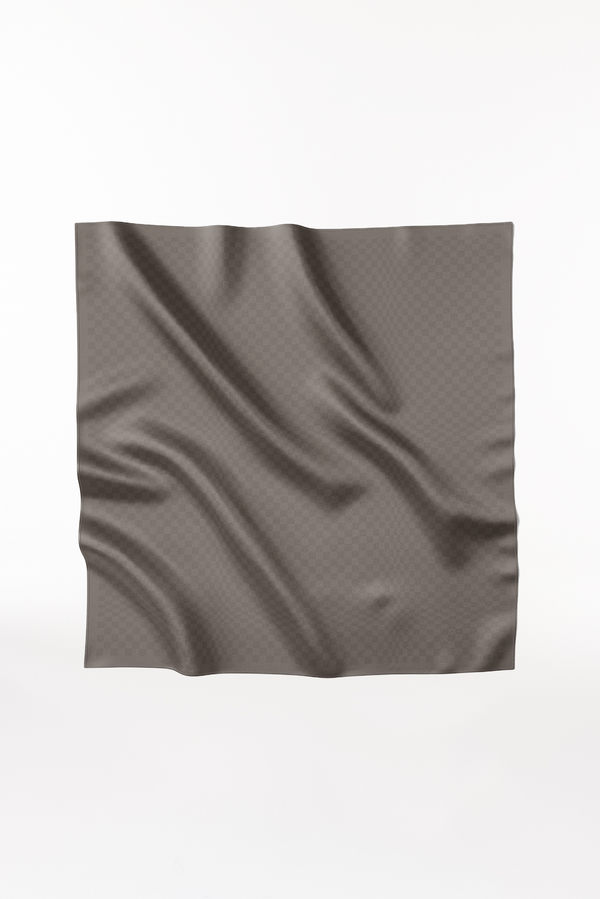 Prinz Berlin Seidentuch Illusion 123 Taupe Angebote