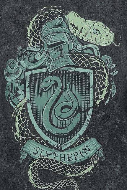 EMP "Slytherin Crest" Top dunkelgrün von Harry Potter Verkauf
