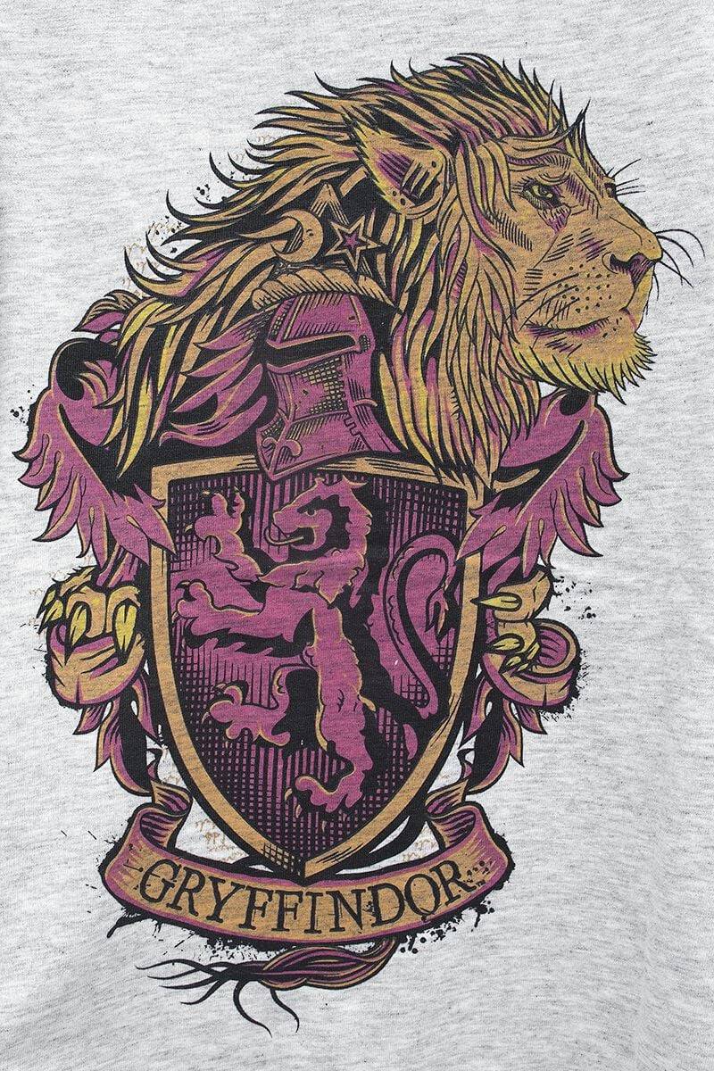 EMP "Kids - Gryffindor" T-Shirt rot von Harry Potter Schlussverkauf