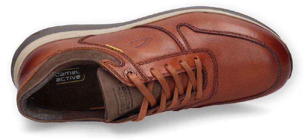 EMP "Sneaker Low" Schnürschuh braun von Camel Active Angebote