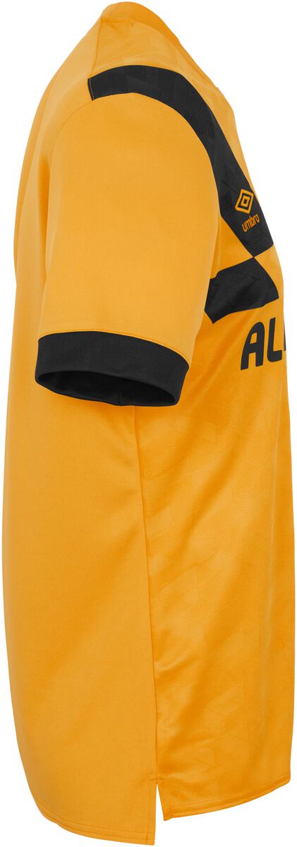 EMP "23/24 Home Jersey" Trikot multicolor von Dynamo Dresden im Angebot