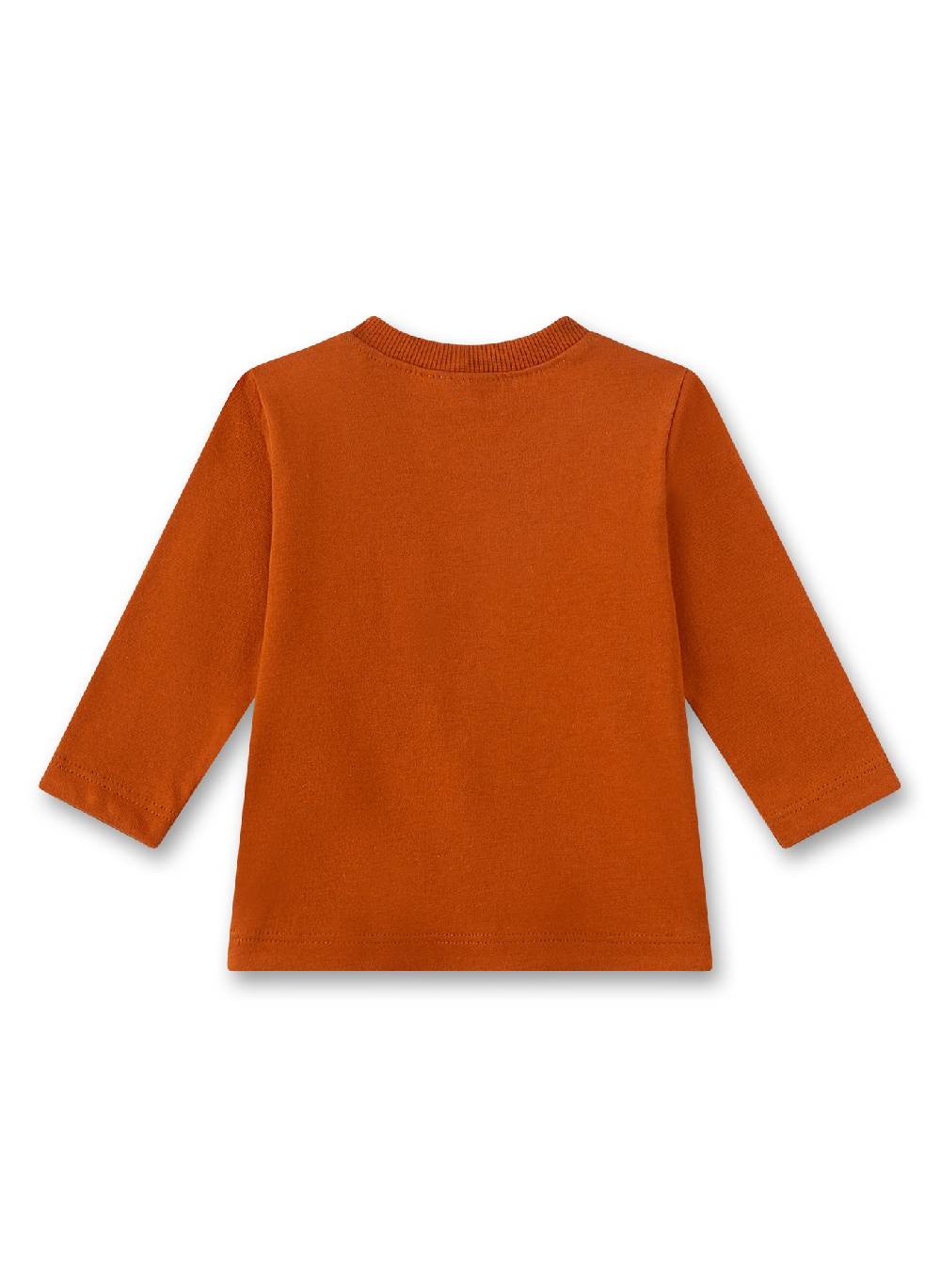 Sanetta Jungen-Langarmshirt Orange Online