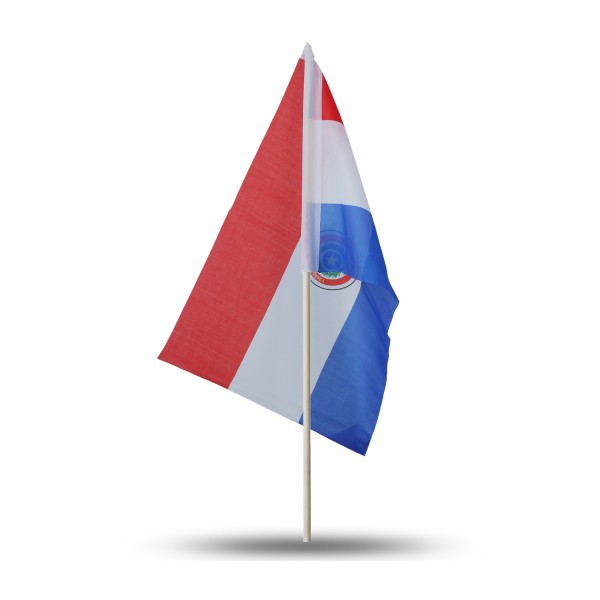 Sonia Originelli 10er Set Fahne Flagge Winkfahne "Paraguay" Handfahne EM WM Lagerräumung