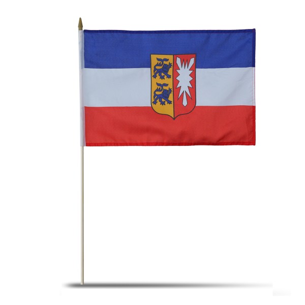Sonia Originelli 10er Set Fahne Flagge Winkfahne "Schleswig-Holstein" Handfahne EM WM Vierteljährliche Förderung